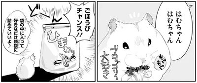 ごほうびチャンス！！