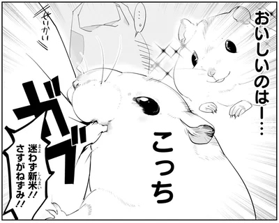 おいしいのはー…こっち