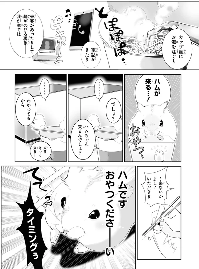 ハムが来る…！