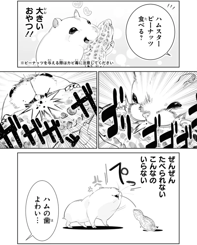 こんなのいらない
