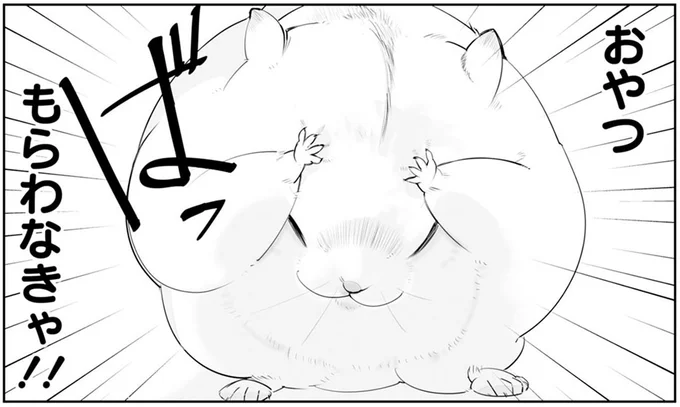 おやつ もらわなきゃ!!