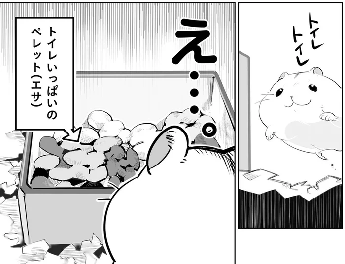 なぜおトイレにごはんが!? ハムスターを困惑させた飼い主の間違い