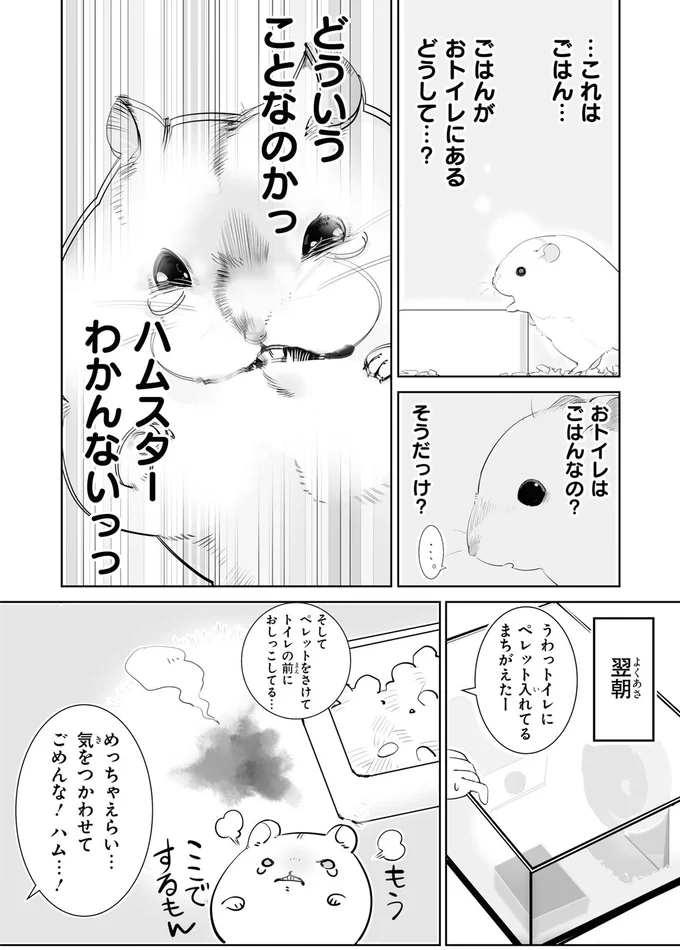 どういうことなのかっ
