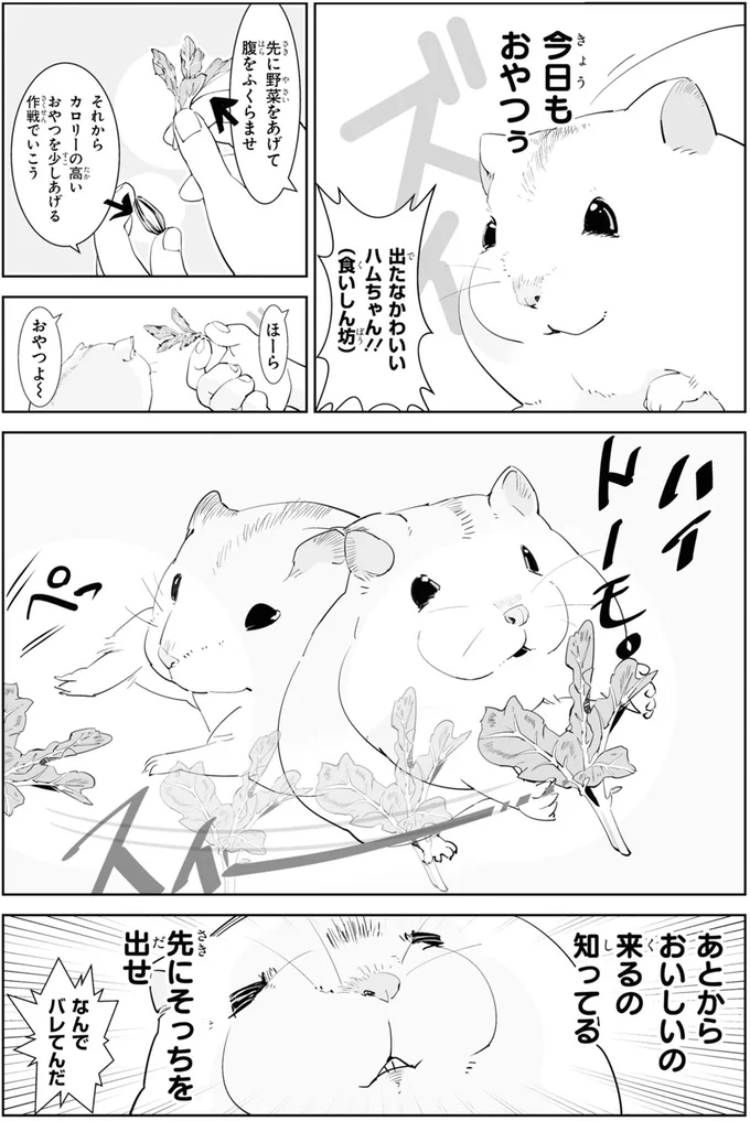 あとからおいしいの来るの知ってる