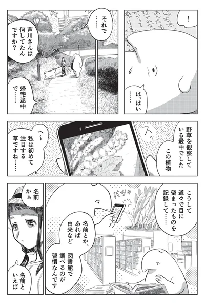 野草を観察している最中でした