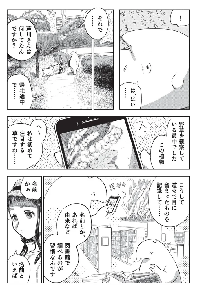 野草を観察している最中でした