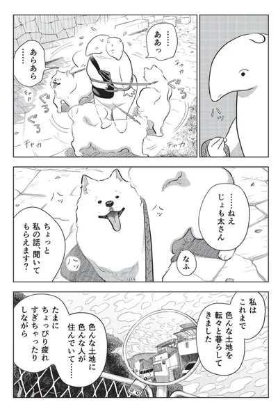 ねえじょも太さん
