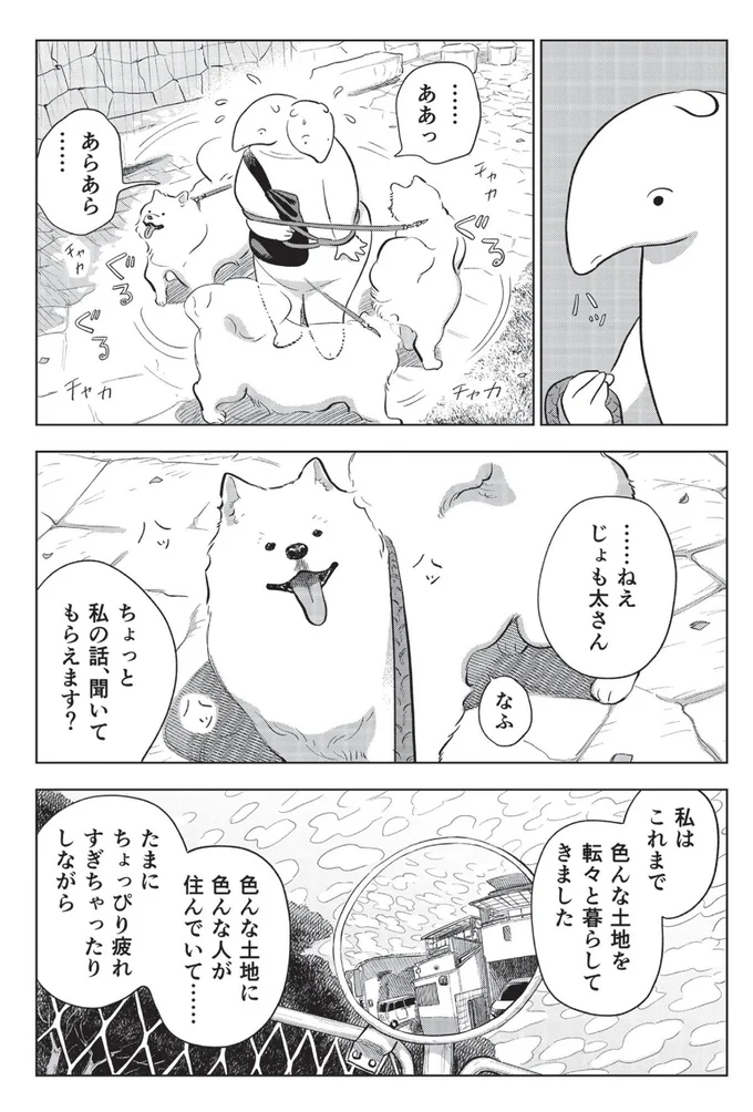 ねえじょも太さん