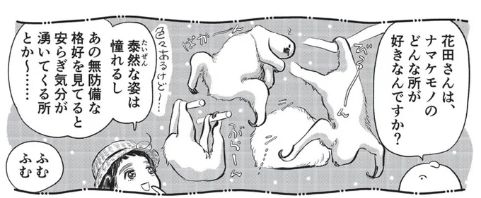 スローな生態というだけなのに! 「ナマケモノ」というネーミングはどこの誰がつけた?