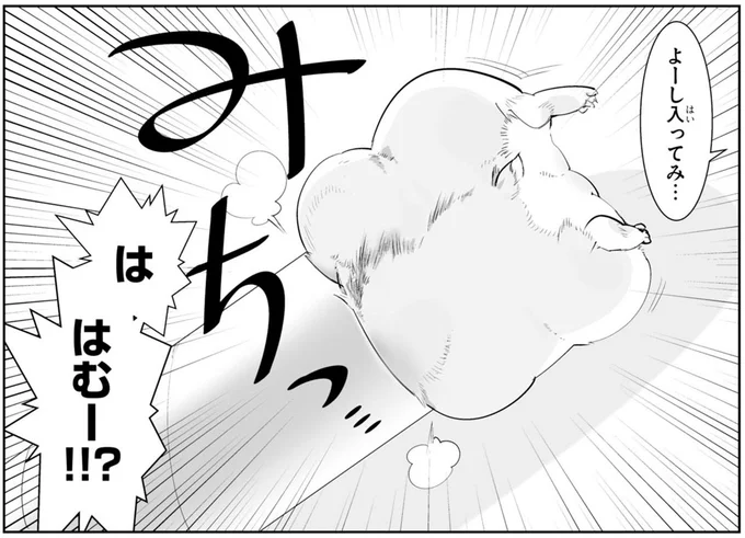は はむー!?