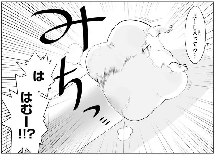 筒ハムちゃんかわいいー！ ネットの投稿をマネしてうちの子にもやってみたら