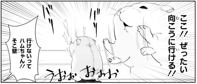 ぜったい向こうに行ける!!