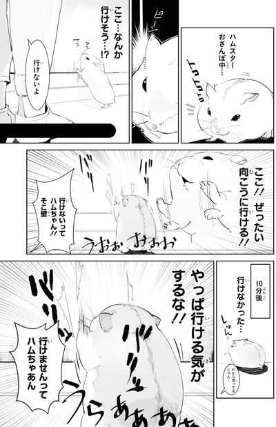 ここ…なんか行けそう…！？