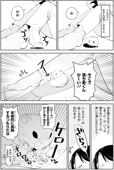 本格的に長居するつもりだな