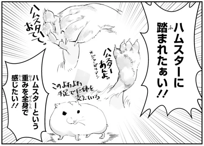 ハムスターの重みを全身で感じたい！ 踏まれたい飼い主VS嫌がるハムスターの攻防