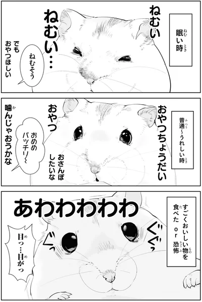 あわわわわわ