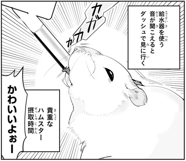 かわいい姿を少しでも見たい！飼い主の貴重なハムスター摂取時間