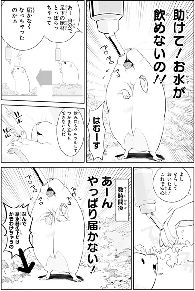 助けて！お水が飲めないの！！
