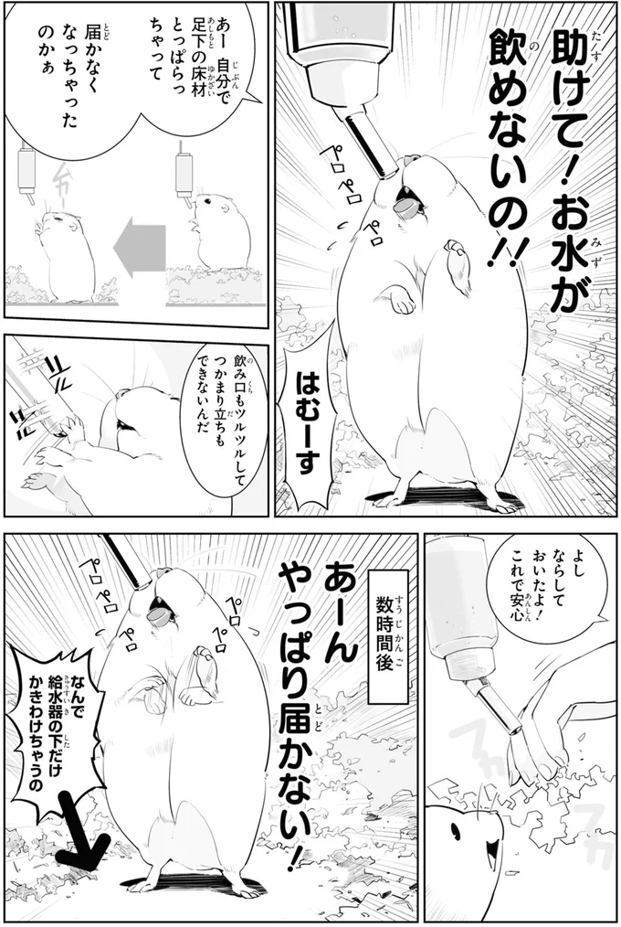 助けて！お水が飲めないの！！