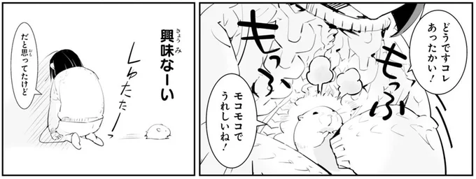 興味なーい