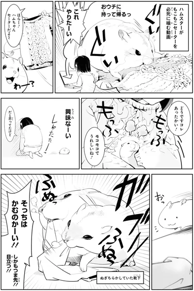 そっちはかむのかーい！！