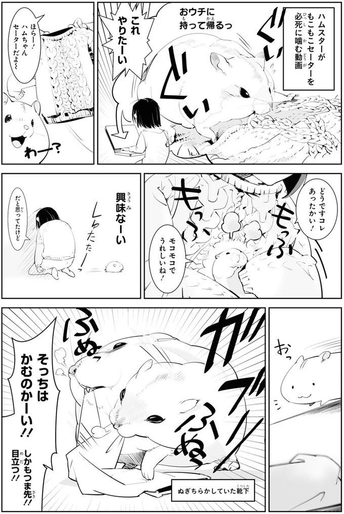 そっちはかむのかーい！！