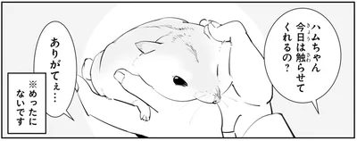 今日は触らせてくれるの？