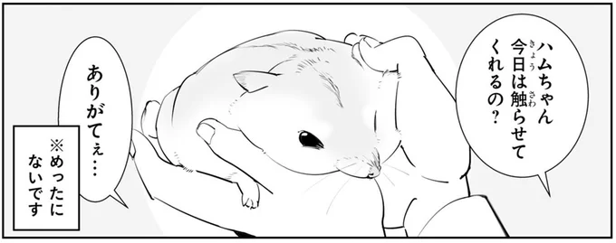 今日は触らせてくれるの?