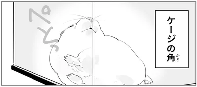 ぺとっ