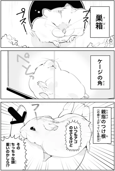 そのちっちゃな頭重いのかしら！？