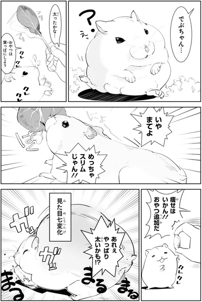 見た目七変化