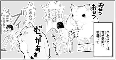 ハムスターは音や気配に敏感です