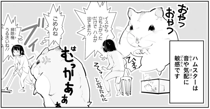 「ハム…そこは寝てるんだ!?」音や気配に敏感なのに、なぜか熟睡してた出来事