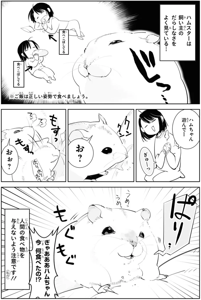 ぎゃああハムちゃん今何食べたの！？