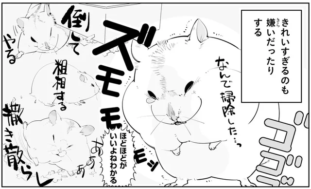 きれい好きだけどきれい過ぎるのも嫌。ハムスターが求める「ほどほど」が難しい