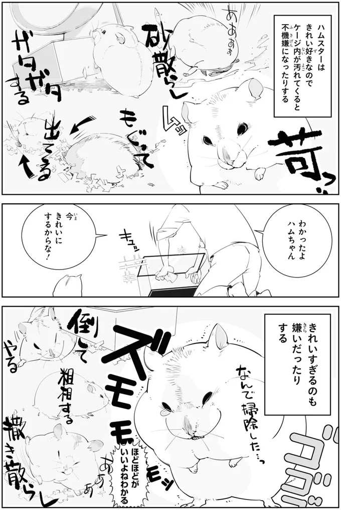 今きれいにするからな！
