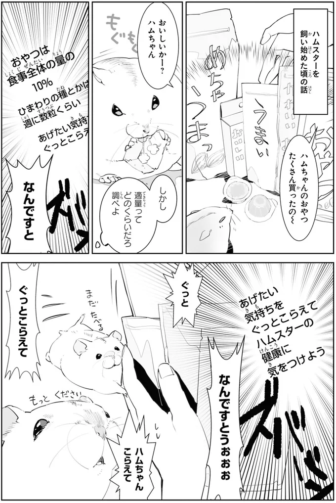 ハムちゃんこらえて　ぐっとこらえて