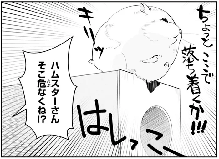 ハムスターさん、そこ危なくね!? わざわざ端っこで落ち着いた結果がベタ過ぎる
