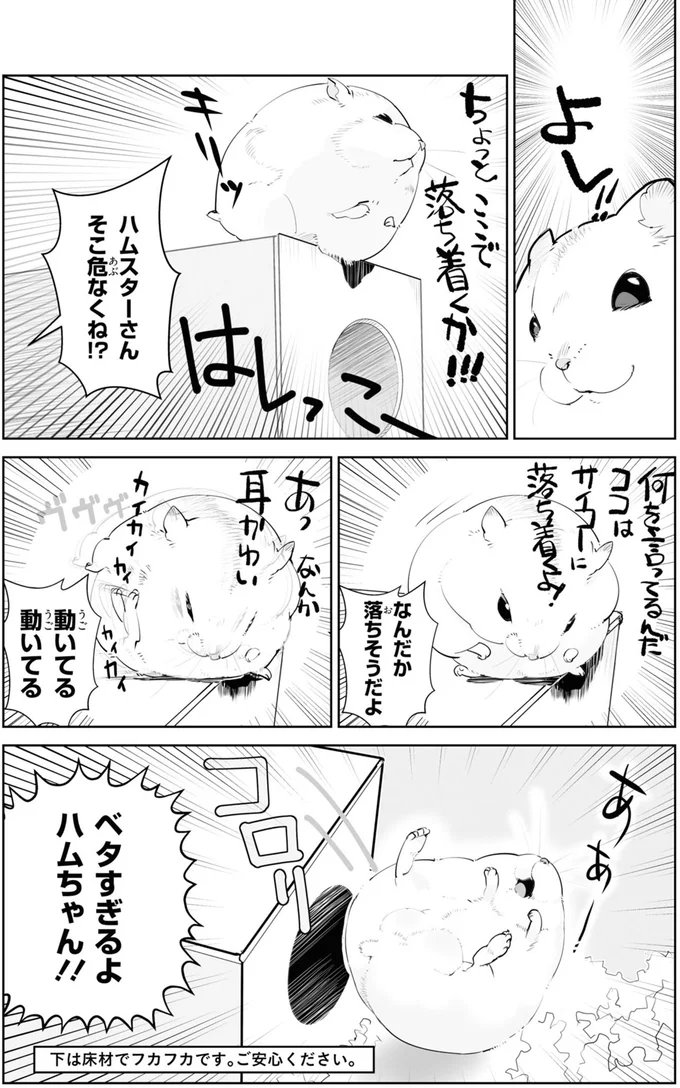 ベタすぎるよハムちゃん！！