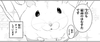 今日も最高のはむすたです