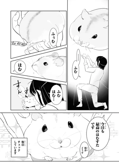 毎日チェックしています