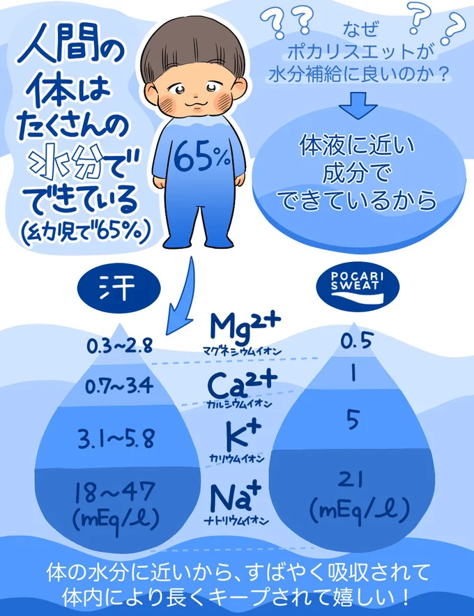 人間の体はたくさんの水分でできている