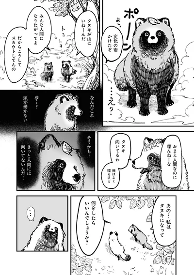 なんだこれ夢？