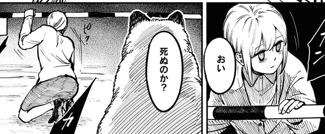 人間をやめてタヌキになる!? 自殺寸前の女性を思いとどまらせたのは…／お前、タヌキにならねーか？（1）