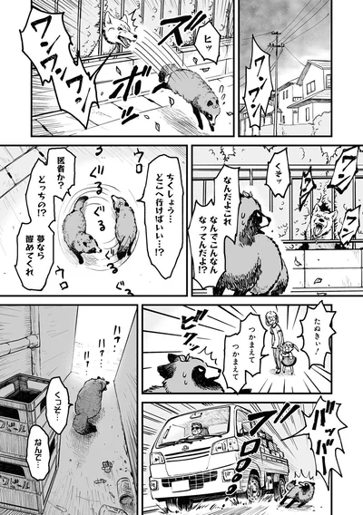 『お前、タヌキにならねーか？』より