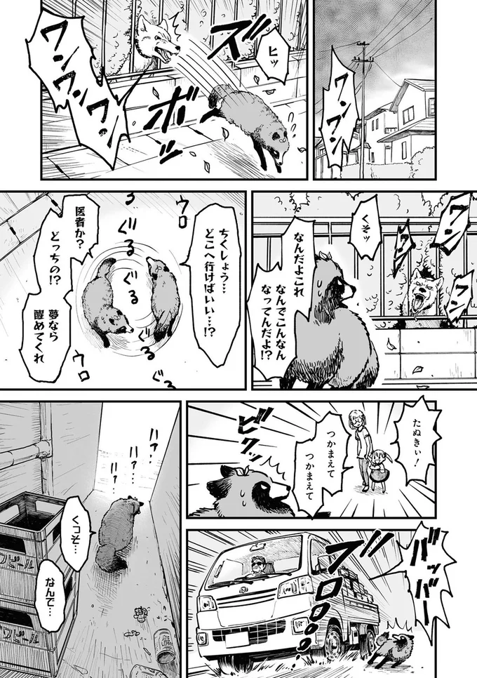 『お前、タヌキにならねーか？』より