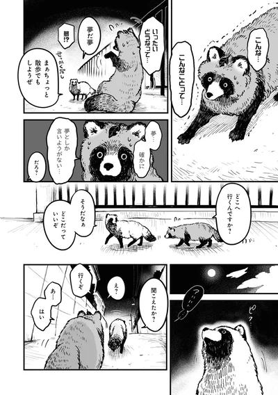 いったいどうなって...