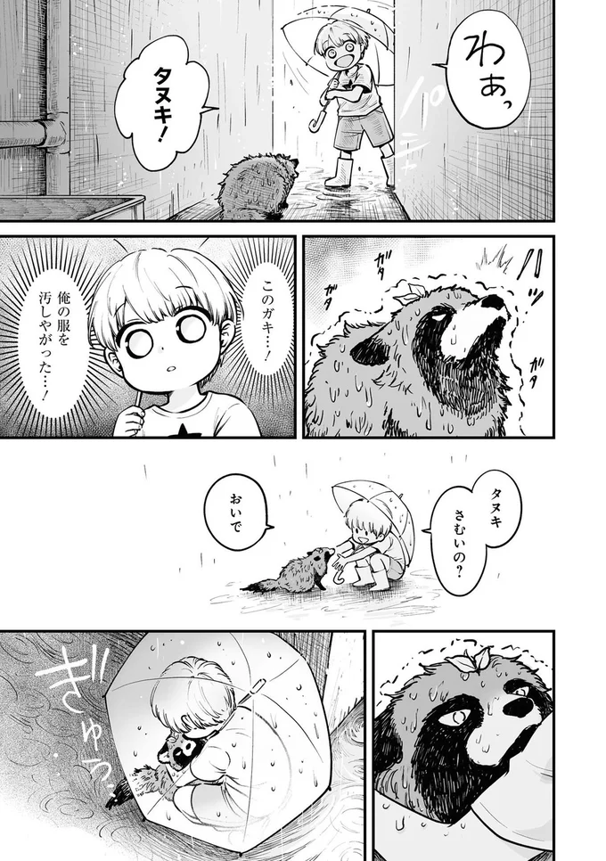 タヌキ、さむいの？おいで