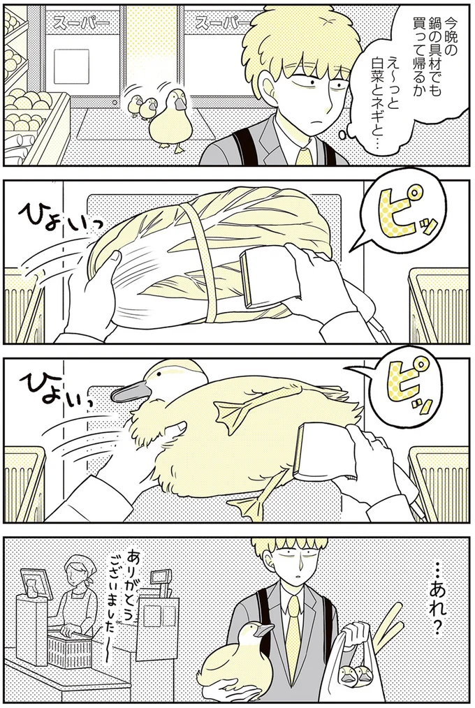 白菜とネギと…