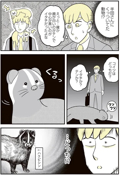 『動物にモテるサラリーマンの受難』より